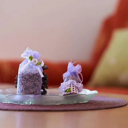 Gorgeous In Okrug Gornji تروغير